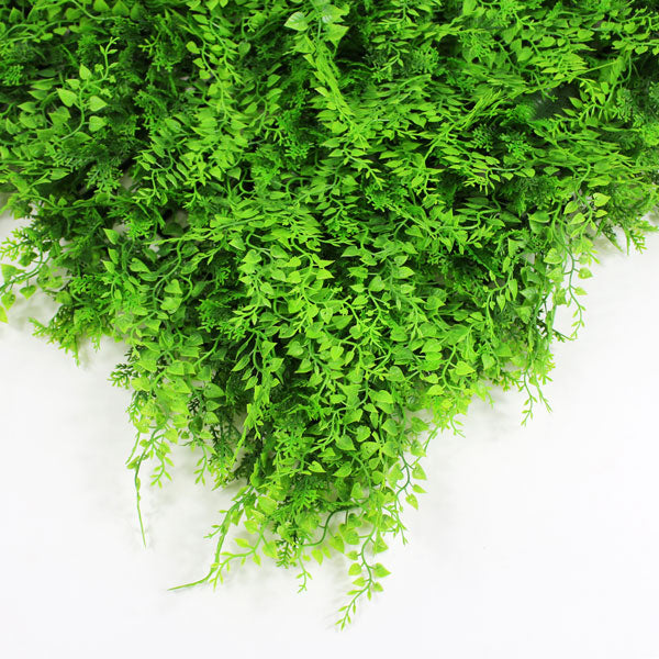 Rymar® Envywall - Fern Panel