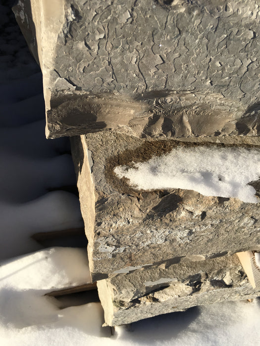 Northern Grey Steps