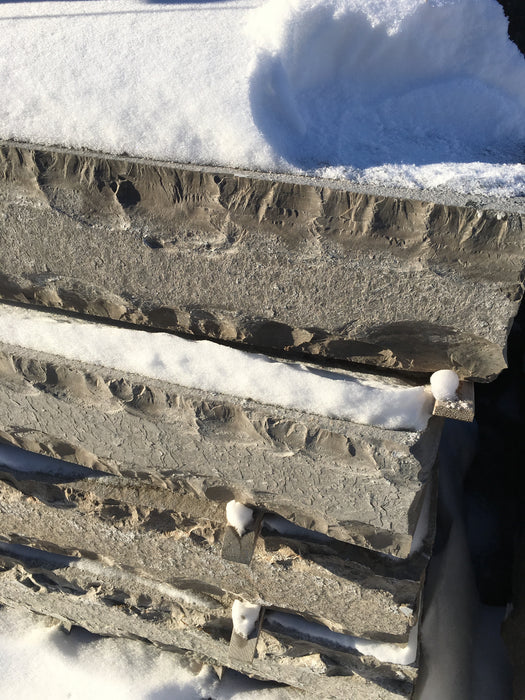 Northern Grey Steps