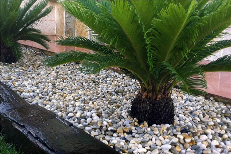 Stone Decorative® Garden Polished Mixed