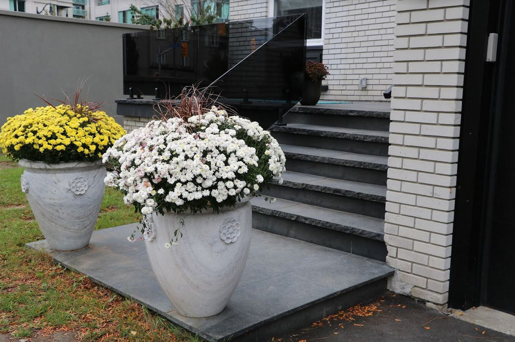 Banas Stones® Rockfaced Coping - Kota Black