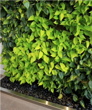 Stone Decorative® Garden Polished Black