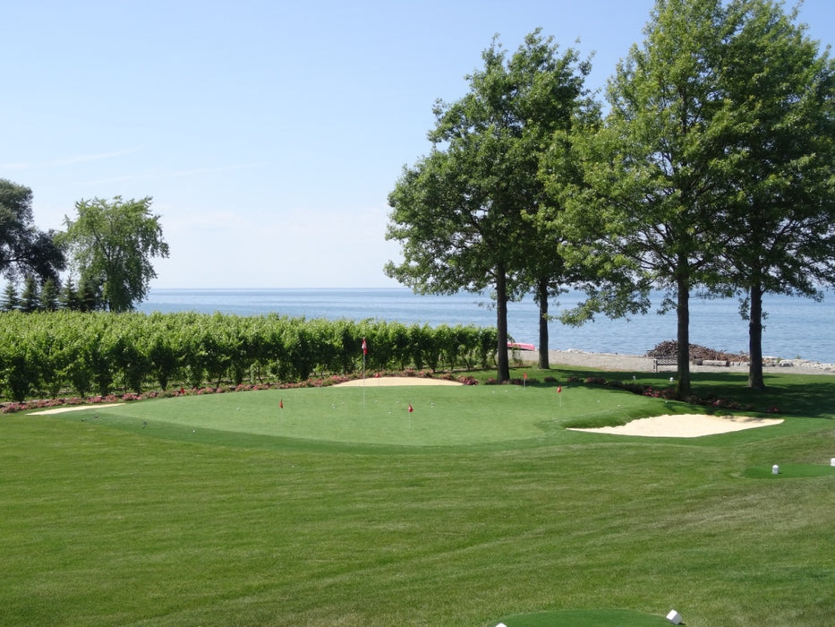 Rymar® Bermuda Pro Putt