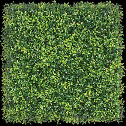 Rymar® Envywall - Boxwood Lite Panel