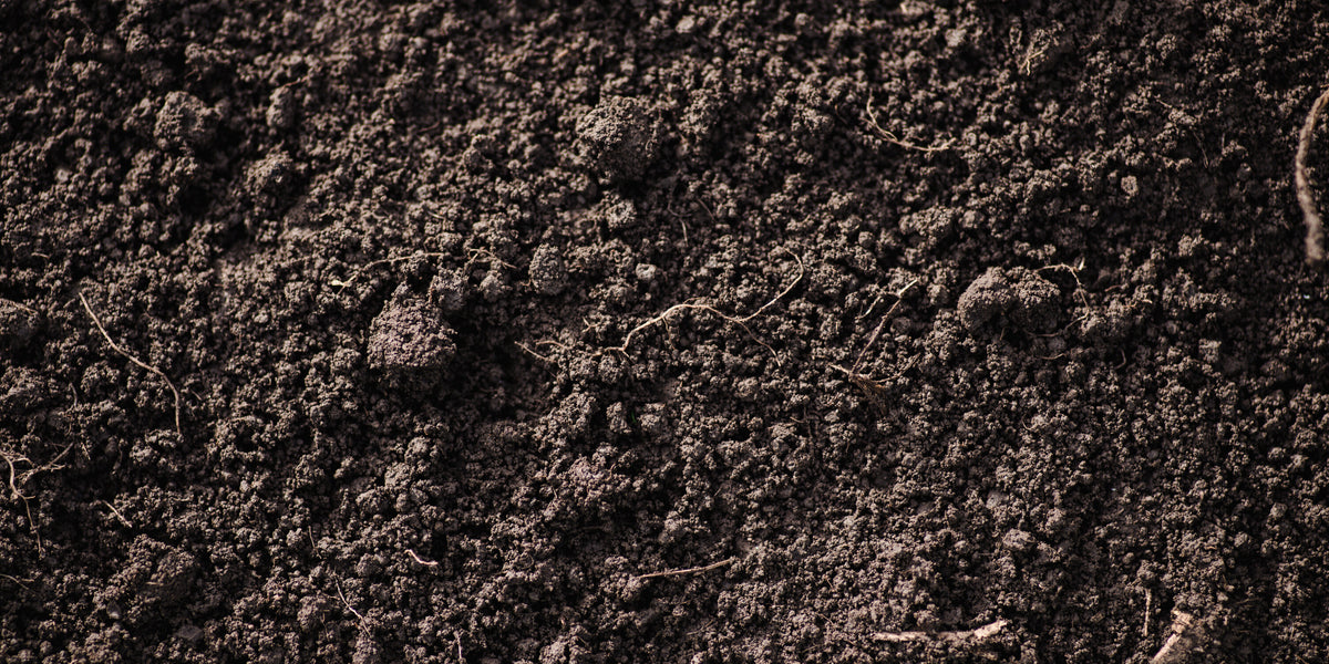 【セール 登場から人気沸騰】 Mix Triple Soil Stone Natural Cohen and Cohen - 園芸養土・薬品